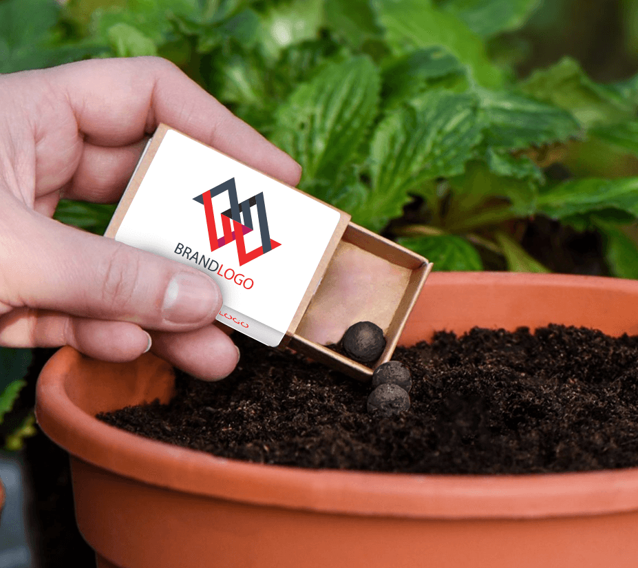 Seed Ball Matchboxes