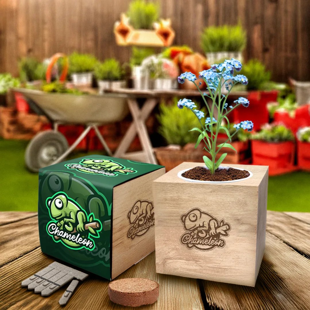 Desktop Cube Seed Gardens