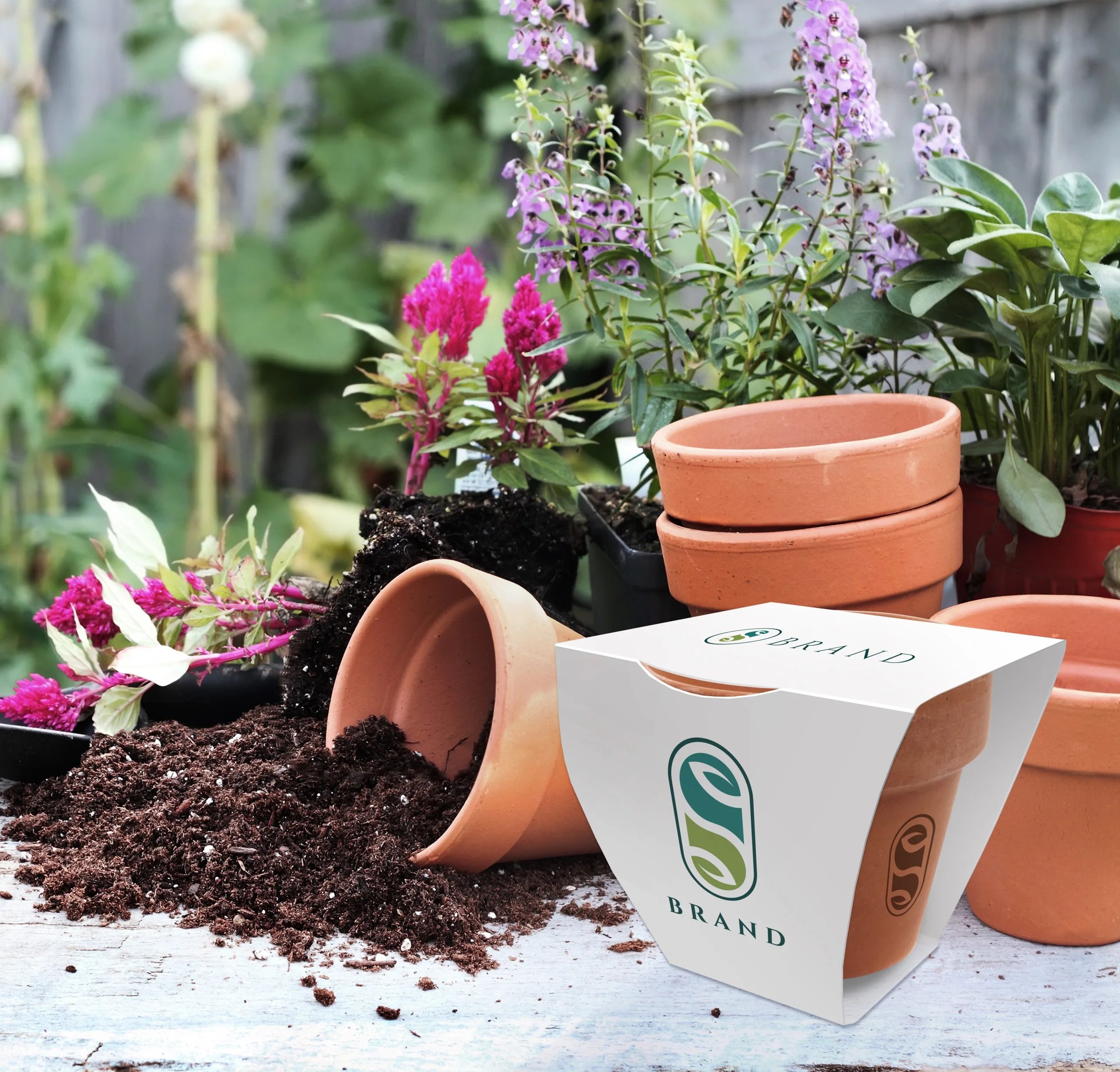 Clay Pot Seed Gardens