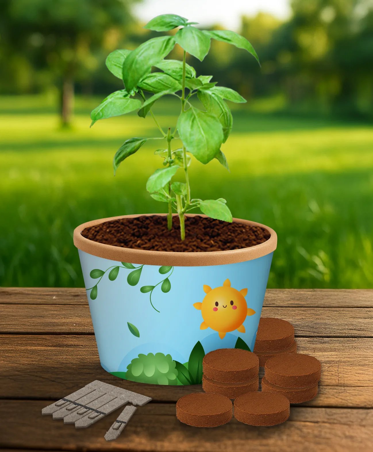 Desktop Cup Gardens