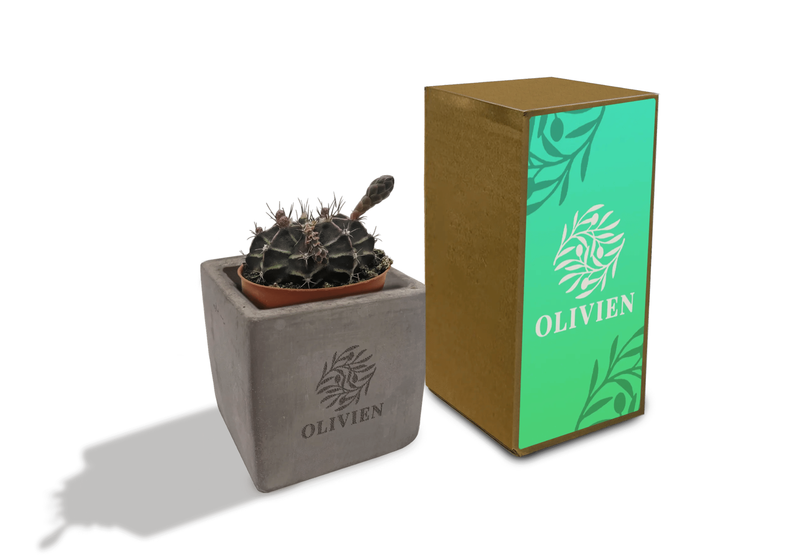 Concrete Cacti