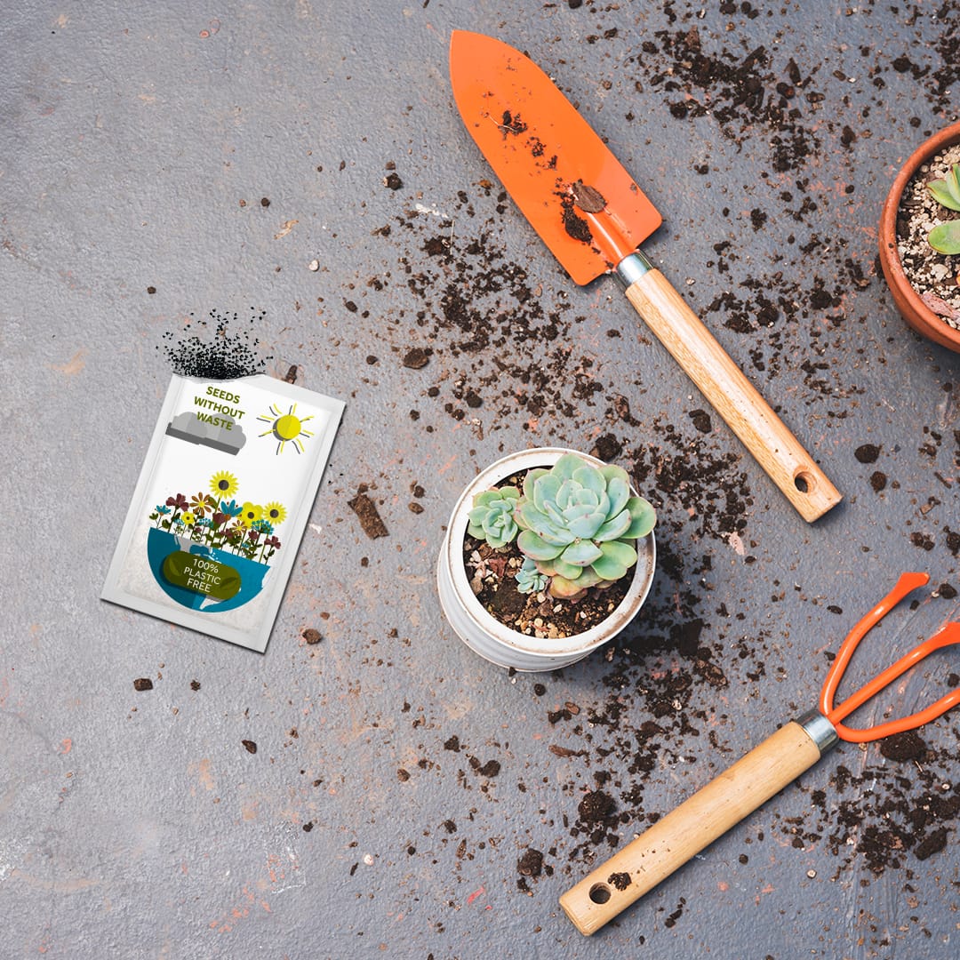 Plastic Free Medium Seed Packets